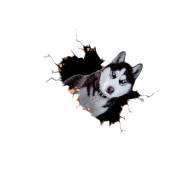 Luova 3D Husky -autotarra, suuri koko (2 kpl)