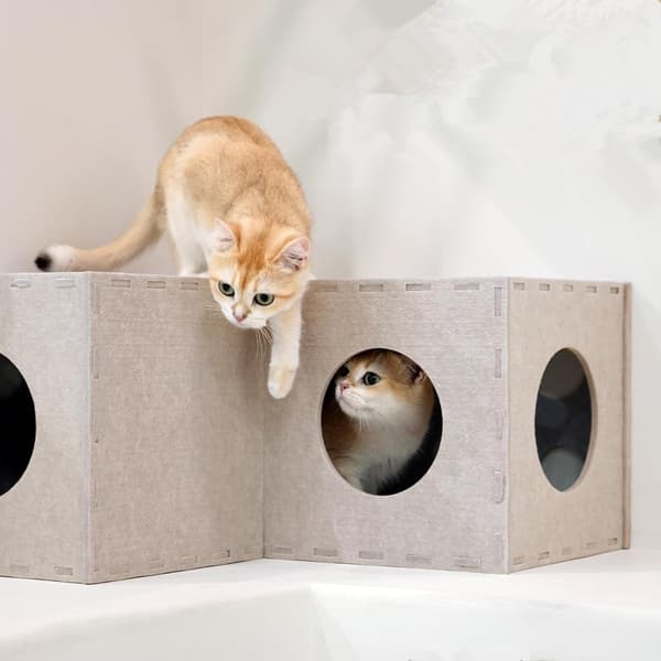Filt Tunnel Kattsäng: Interaktivt & Vikbart Katthus med Klösbräda, Perfekt för Lek och Vila