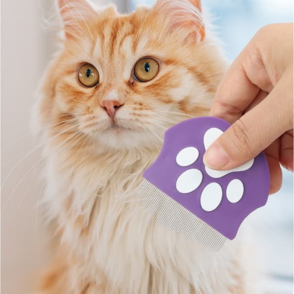 Mini Loppekam til Ansigtspleje af Hunde og Katte Mørkegrøn