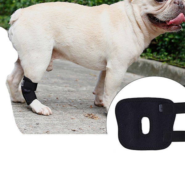 Hundbensstöd - Kort stödstrumpa för hundar L