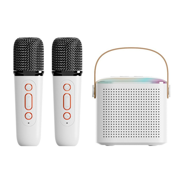 Dual Microphone Home KTV Bluetooth-högtalarsystem