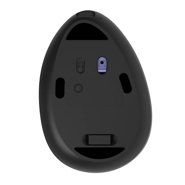 Trådlös vertikal mus Delux M618DB BT4.0 + 2,4Ghz 4000DPI RGB