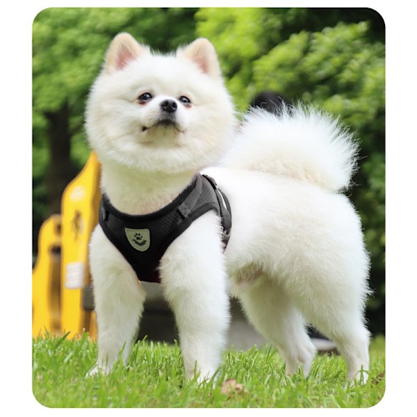 Reflekterende hundesele - åndbar sort M