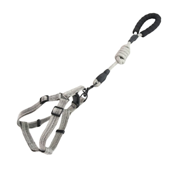 Lemmikkien valjaat ja talutushihnasarja pienille koirille (3-8 lbs)