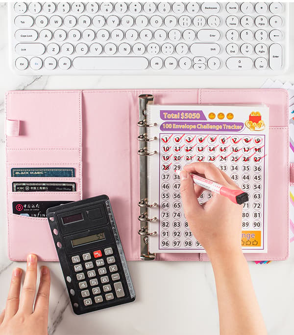 100 dages pengeudfordringsbinder - A5 konvolutsystem Pink Pink