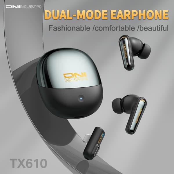 TWS Bluetooth-lurar True Wireless ANC Dual-mode 2.4G+Bluetooth 5.4 USB-C laddning Jieli AC7003D4 IPX4 ergonomisk passform lång batteritid Black Black