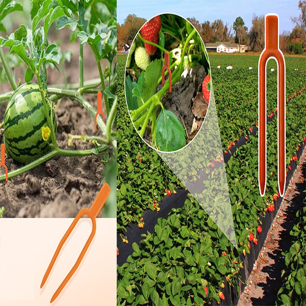 Plantstödklämmor - Säkra dina trädgårdsväxter Orange Orange