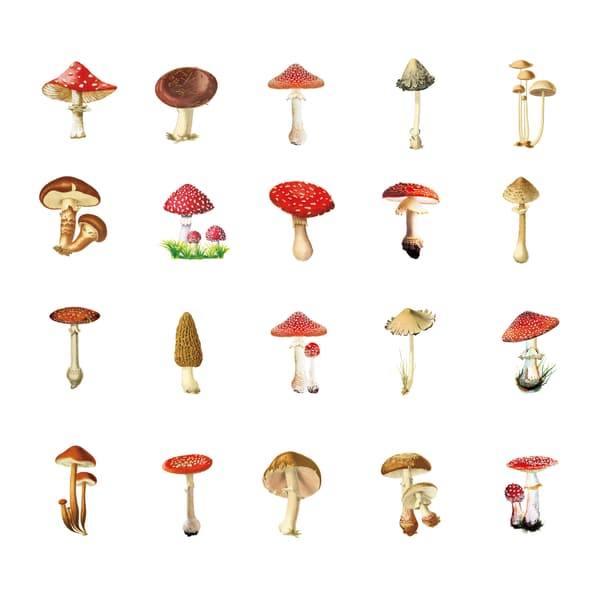 Mushroom Love DIY Journal -tarrat - 40 kpl PET-tarroja