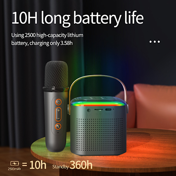 Dual Microphone Home KTV Bluetooth-högtalarsystem