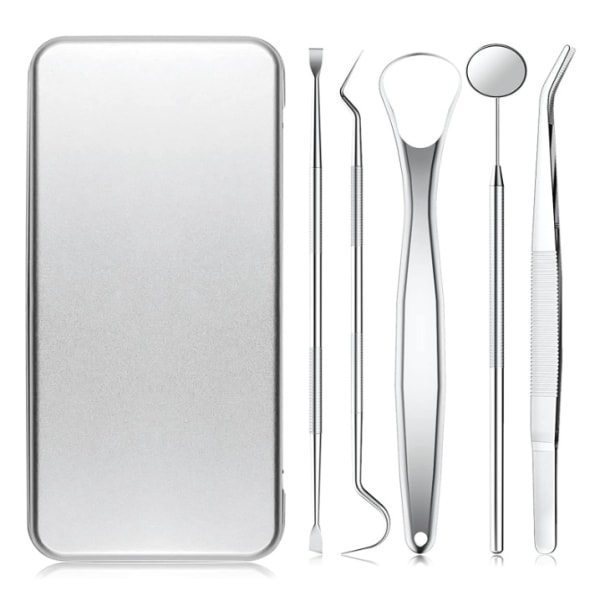 Dental Tools, 5 Piecies Picks til tandrensning Sølv Sølv