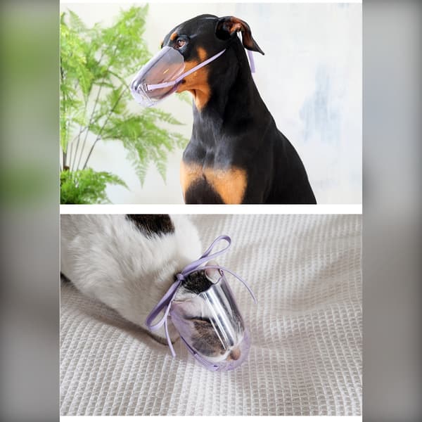 Transparent Kattmunkorg: Anti-Bett & Grooming Mask för Säker Hantering S S