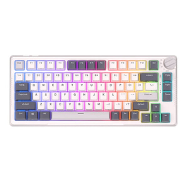 Mekanisk tastatur Royal Kludge RKH81 RGB, Sky cyan switch (hvid)