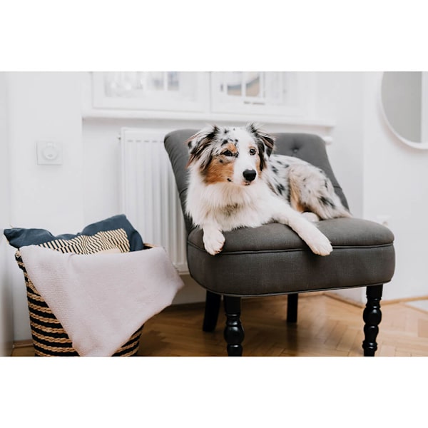 Kvalsterskydd Home Grå