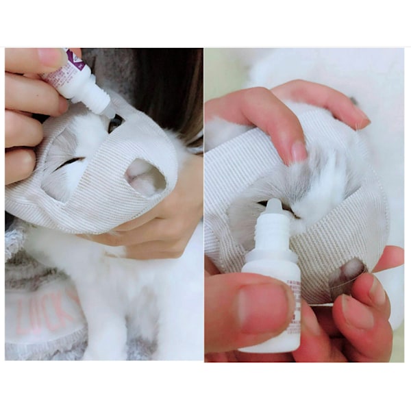 Ögonmask för katter för grooming, sömn och ångestlindring L