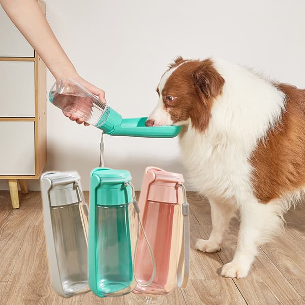 Bærbar Drikkeflaske til Kæledyr - 550ML Blue Blue
