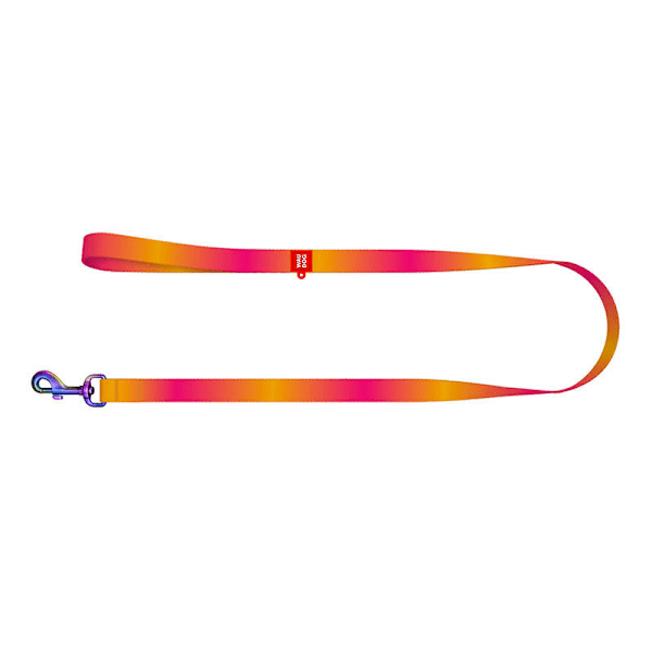 WAUDOG gradient hundkoppel i nylon, 20 mm brett, 122 cm långt, orange