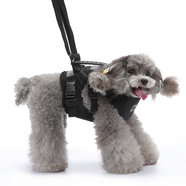 Multifunktionell hundsele med handtag S S