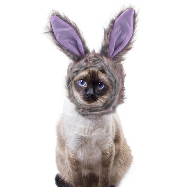 Kæledyr Hovedbeklædning - Sødt Kostume til Katte og Små Hunde Model 5