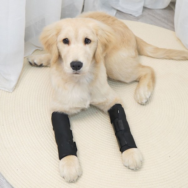 Pet Joint Protector JT2 - Sort til støtte af hunde M M