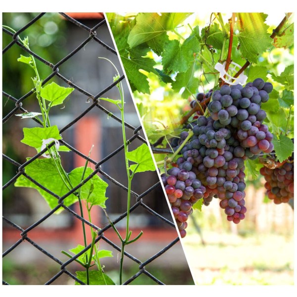 Planteklemmer til plantestøtte/espalier 100-pak Gennemsigtig