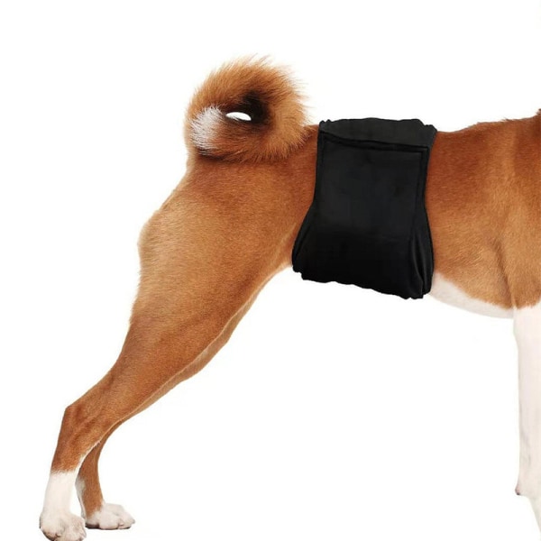Behagelig og vaskbar hundeble Sort L