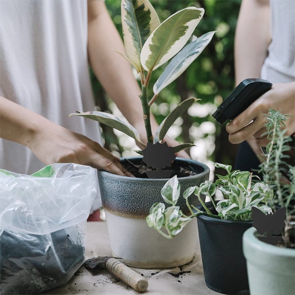 Dubbelsidiga svarta klibbiga insektsfällor