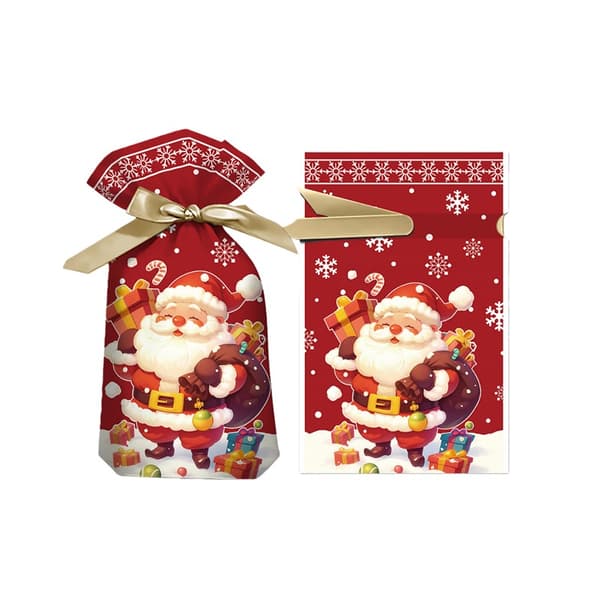 Julgodisväskor Snöflinga Santa 12x17cm (50-pack) Dragsko Presentpåsar