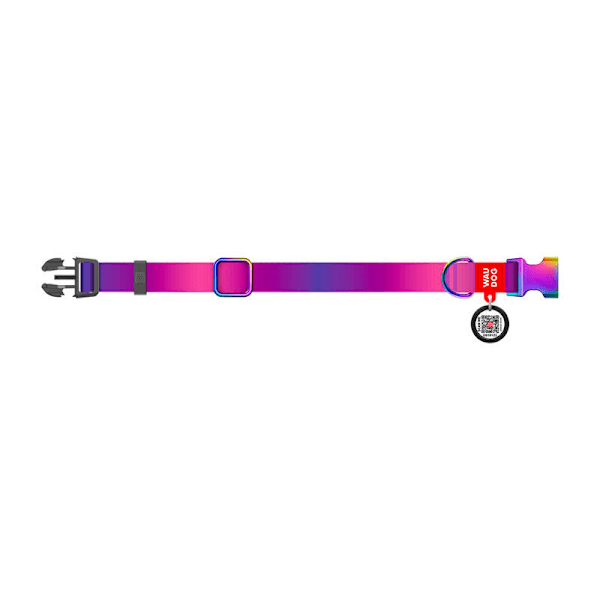 Waudog gradient hundhalsband i nylon med QR-kod, lila, storlek L