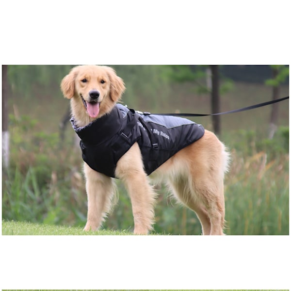 Klassisk grå hunde vinterfrakke 5XL