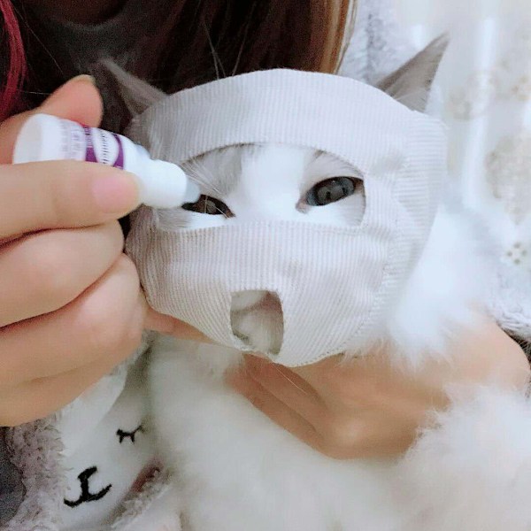 Ögonmask för katter för grooming, sömn och ångestlindring M