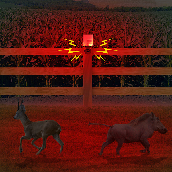 Solar Animal Repeller - Effektiv skadedyrsbekæmpelse