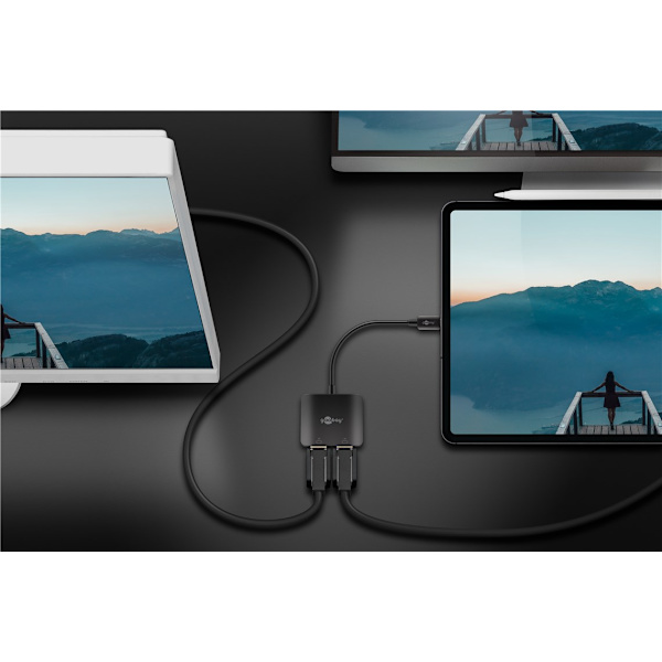 USB-C™-adapter till 2x DisplayPort™