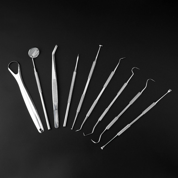 Tandvårdsredskap 9 delar med fodral Silver Silver