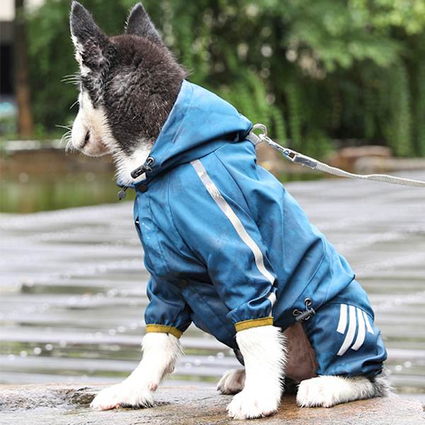 Pet regnfrakke XXL