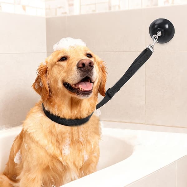 Hundbadkar Sugkopp Koppelfäste - Säker Trimningskoppel