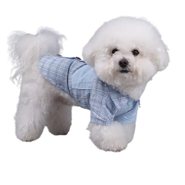 Blårutig hundskjorta XL XL