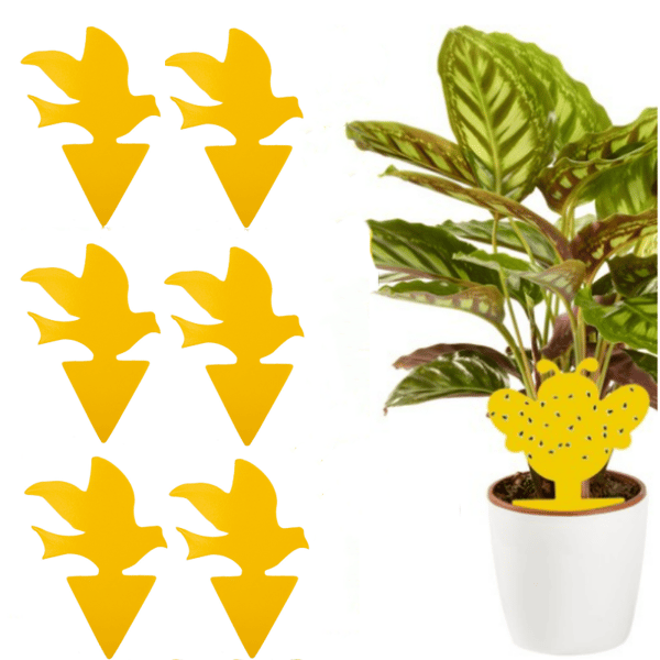 Klibbig fälla för skadedjur på krukväxter 100-pack Yellow Yellow
