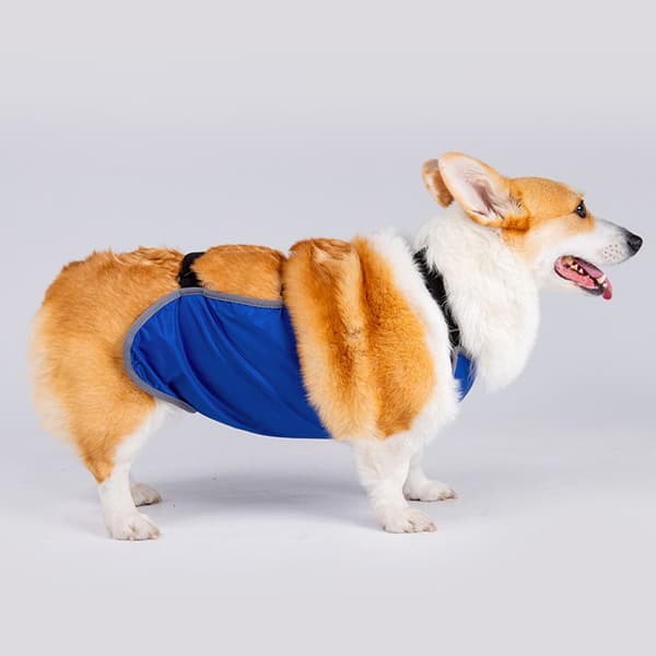 Justerbart vattentätt hundskydd för Corgi - Anti-smuts magskydd L L