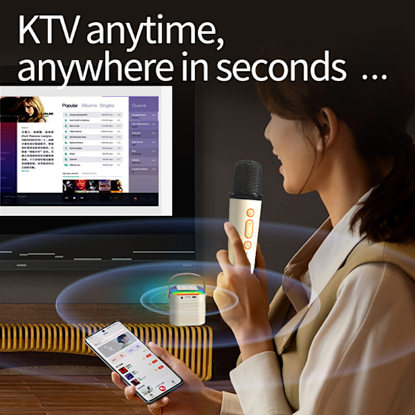 Dual Microphone Home KTV Bluetooth-högtalarsystem