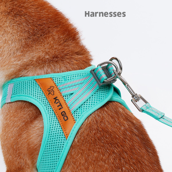 Husdjursselekoppelsats XS