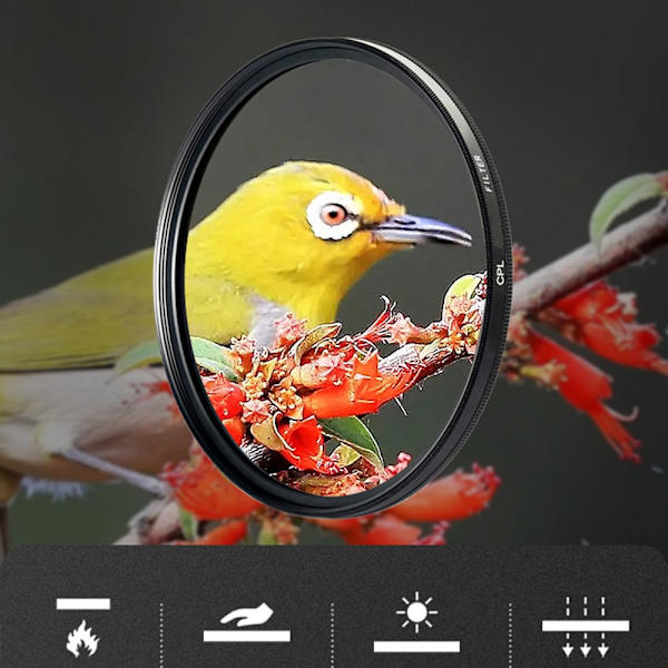 CPL polariseringsfilter til kamera - Optimer dine billeder 62 mm 62 mm