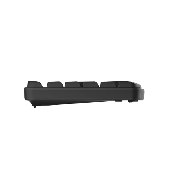 RAPOO Keyboard/Mice Set X1800S Wireless 2.4GHz Black