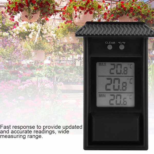 Elektronisk Termometer för Utomhusbruk Black Black