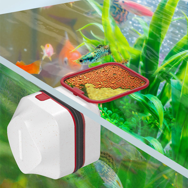 Akvariealger Magnetisk Renser til Glas Op til 6 mm Tykt