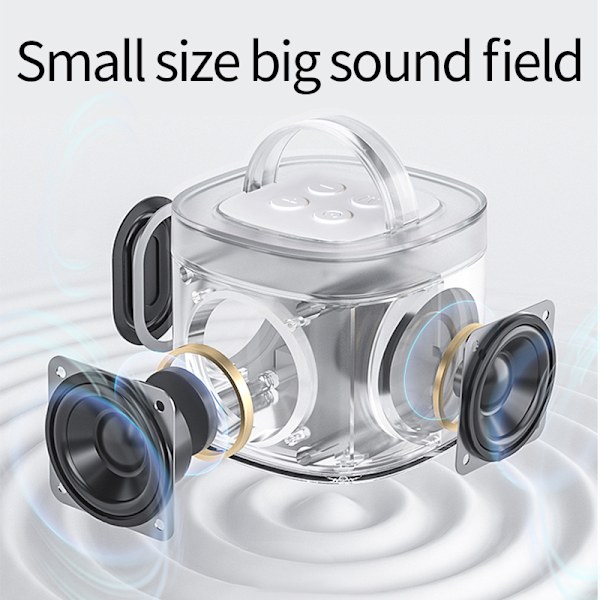 Dual Microphone Home KTV Bluetooth-högtalarsystem