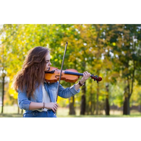 4-pak Violin Mute til Øvelse, Gummi Violin Lyddæmper, Ultra Øvningsmute Sort