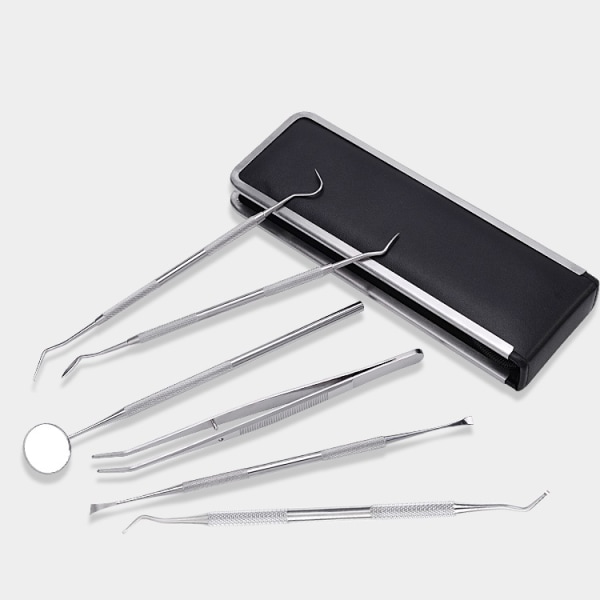 Professionellt tandhygien kit - 6 delar med fodral
