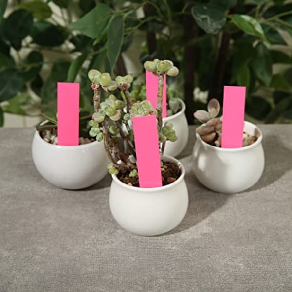 Tåliga växtetiketter / plantskyltar 100-pack Rosa 10x2 cm