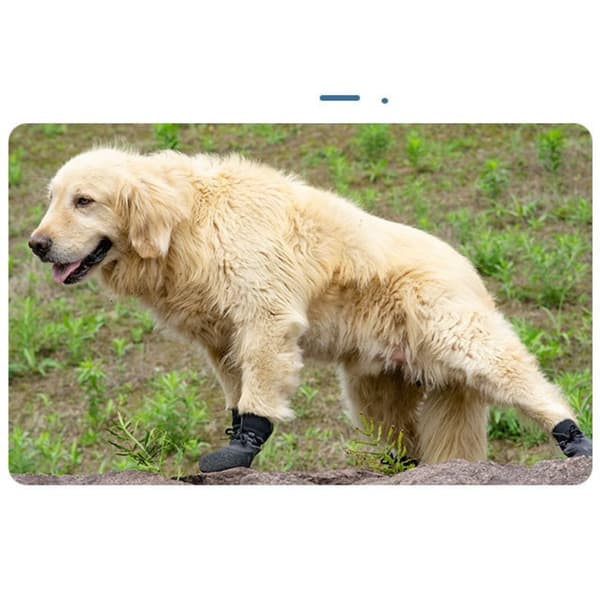 Vattentäta Halkfria Hundskor - 4-pack, Förbättrat Grepp & Skydd S S