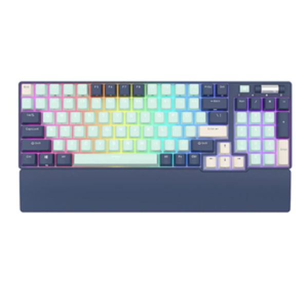 Mekanisk tastatur Royal Kludge RK96 RGB, brun switch (blå)